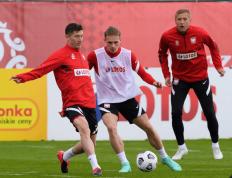 IM体育下载-奥地利连胜取悦球迷，顺利闯入淘汰赛的简单介绍