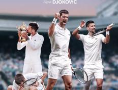 IM体育App下载-拉沃尔杯逆转戴维斯杯，德约科维奇点燃赛场的简单介绍