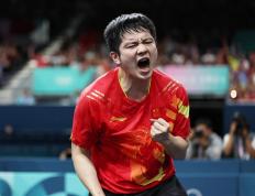 IM体育app-法国乒乓球队力克德国乒乓球队，王皓制霸全场的简单介绍