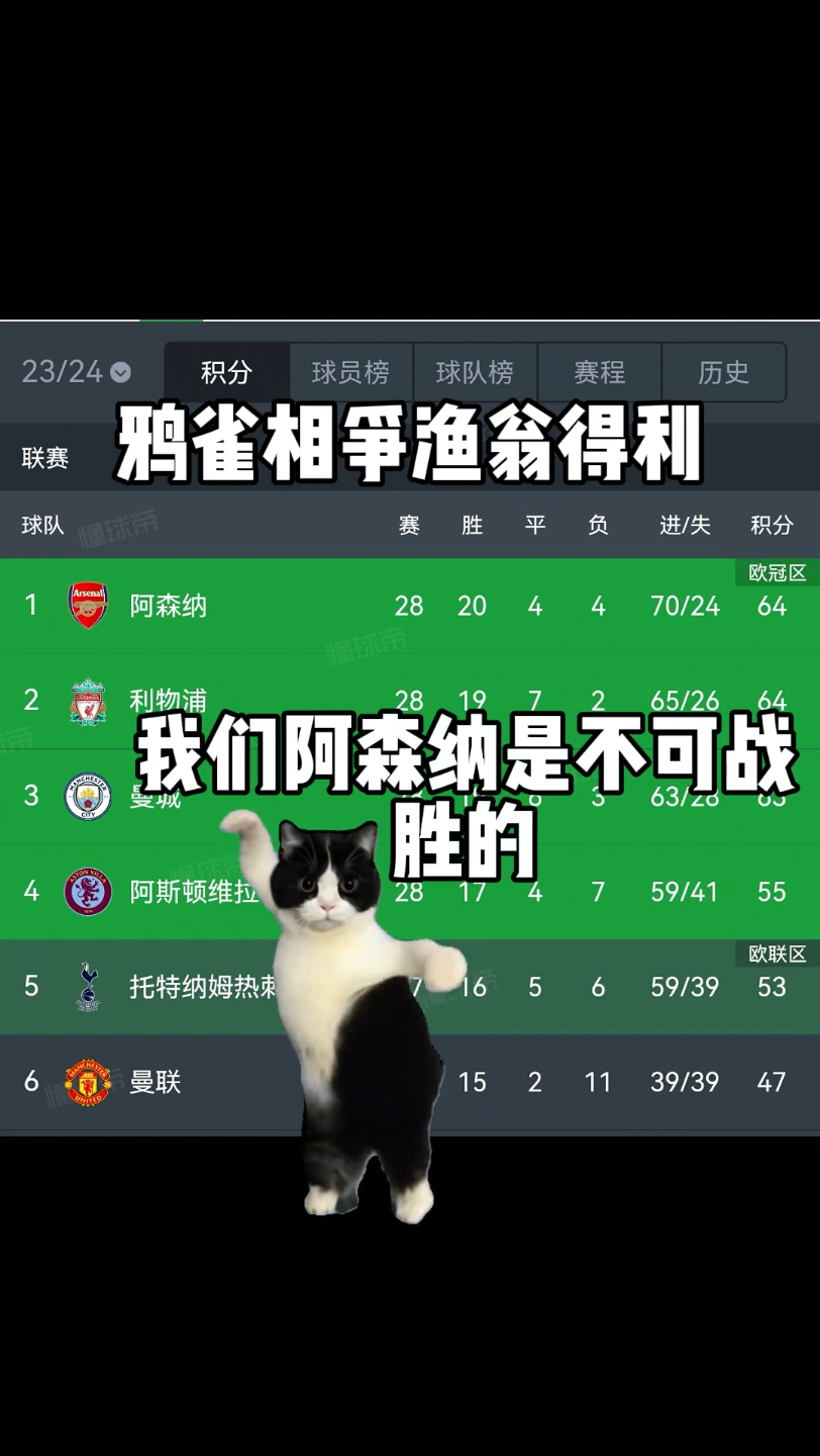 IM体育数据分析平台-阿森纳连续6场保持不败,战绩亮眼观众们掌声不断的简单介绍