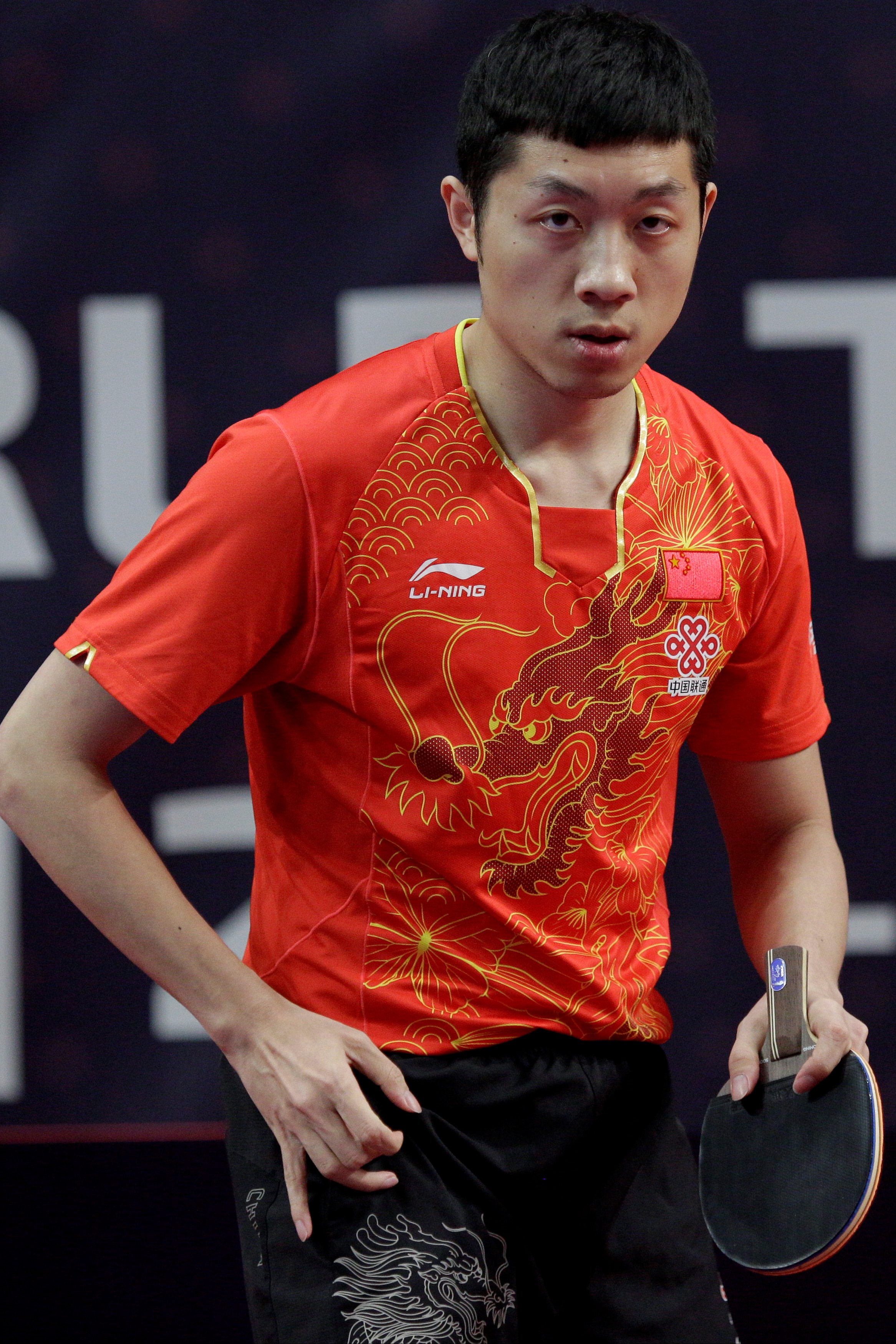 IM体育动画直播通道-波兰队力克瑞典队，许昕高光表现的简单介绍